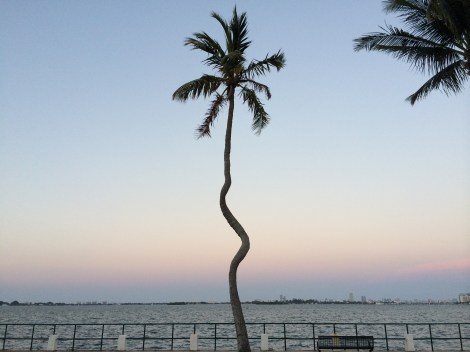 Miami Geo Quiz #11: Corkscrew on the Bay. Source: Matthew Toro. June 7, 2014.