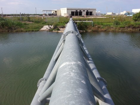 Miami Geo Quiz #12: Canal Vultures. Source: Matthew Toro. July 19, 2014.