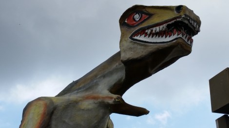 Miami Geo Quiz #25: Rex on the Roof. Source: Matthew Toro. March 7, 2015.