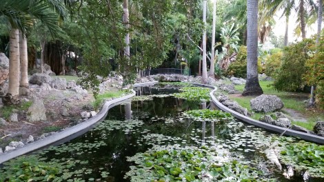 Miami Geo Quiz #3: Not-So-Hidden Pond --A. Source: Matthew Toro. July 12, 2015.